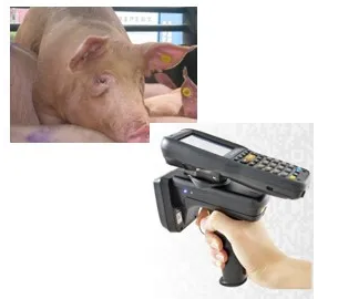 Datalogic得利捷手持終端.png Datalogic得利捷手持終端.png