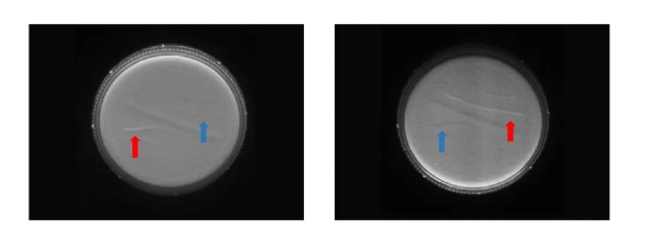 分時頻閃相機.png 分時頻閃相機.png